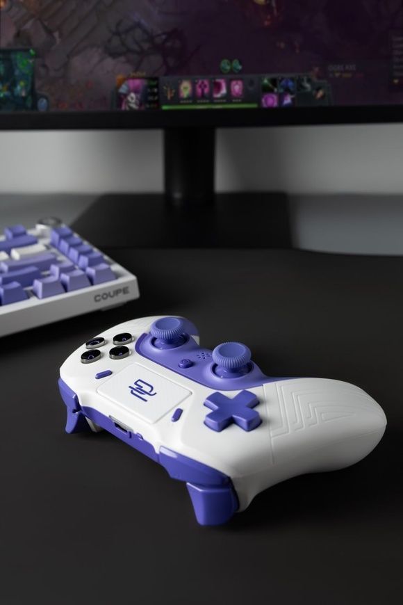 Ігровий контролер Proove Gaming Skadi для PS4 та ПК.  Бездротовий геймпад з RGB підсвіткою, тачпадом та датчиком руху для професійного геймінгу 0747 фото